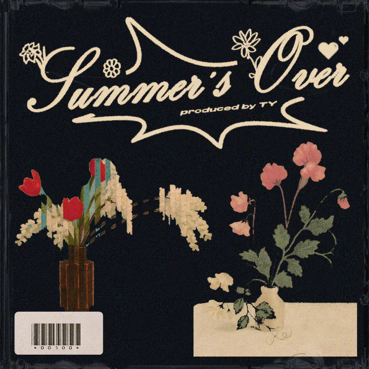 TY - SUMMERS OVER [Marketplace]